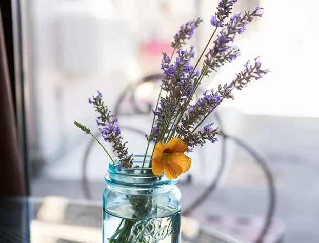 Cozy Mountain Motel hotel detail image 4