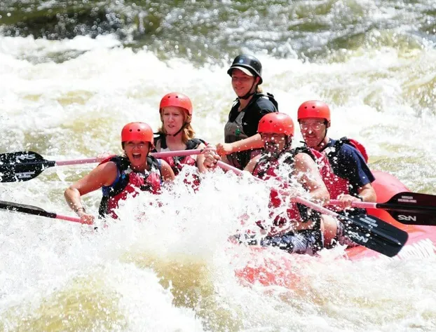 Moonstruck Apartment 1 hotel detail image 2