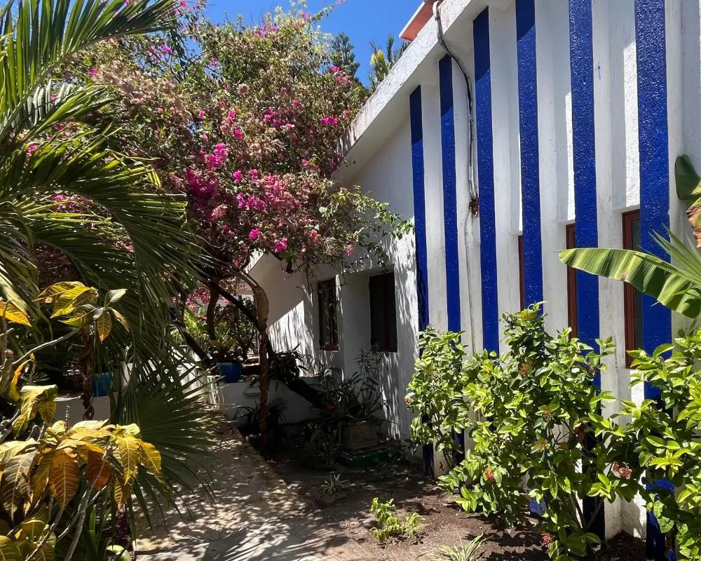 Hammock Heaven hotel hero