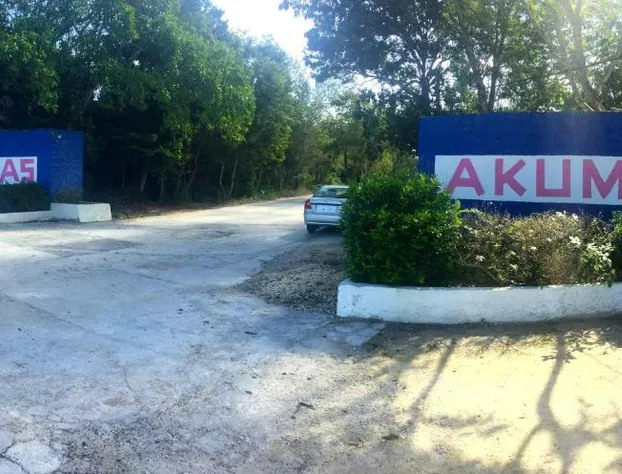 Hammock Heaven hotel detail image 1