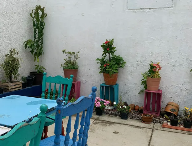 Casa de los Soles B&B Hostel hotel detail image 2