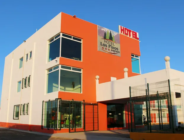 Hotel Los Pinos Express hotel detail image 3