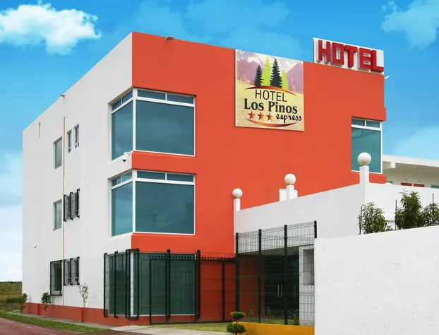 Hotel Los Pinos Express hotel detail image 3