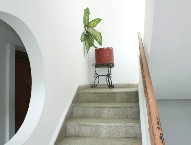 Hotel Isabella hotel detail image 2