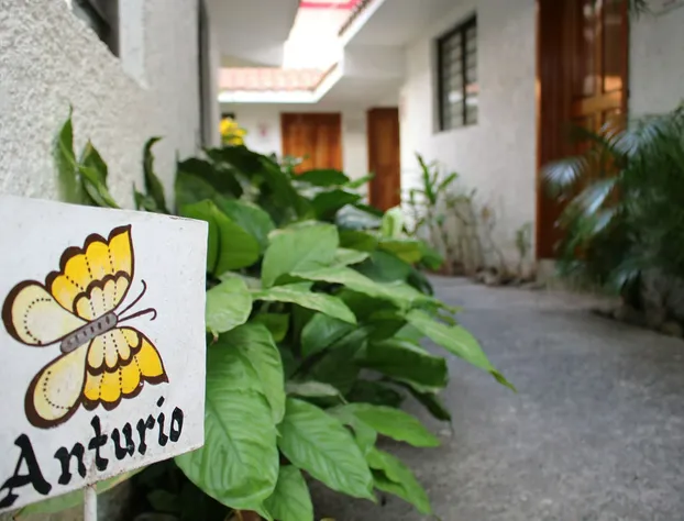 Suites Ejecutivas Los Arcos hotel detail image 4