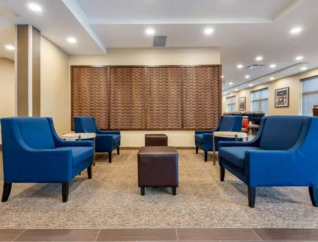 Comfort Inn & Suites hotel detail image 3