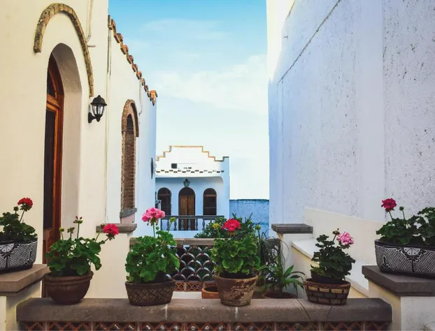 Hotel Casa Constanza hotel detail image 1