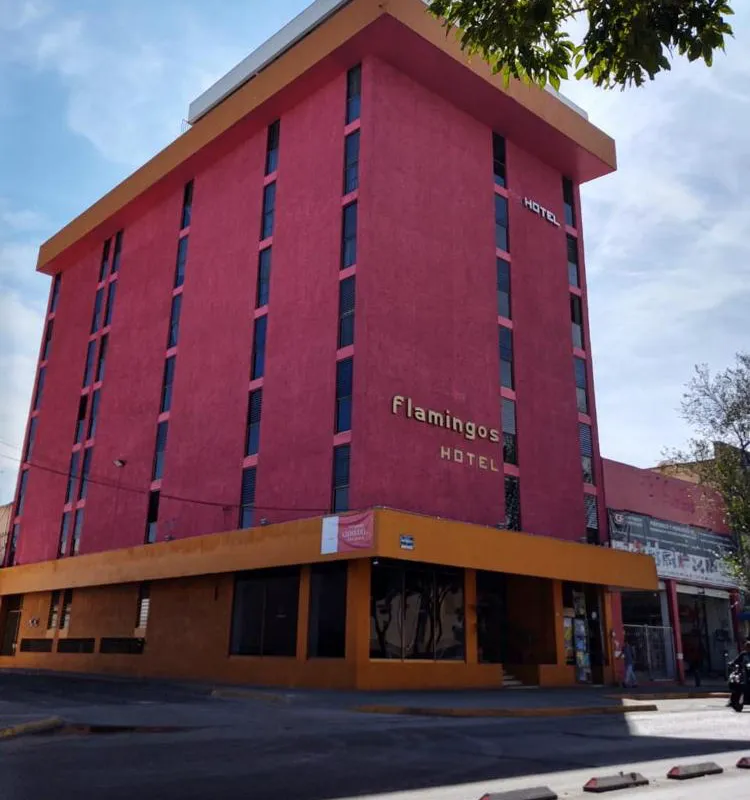 Hotel Flamingos hotel hero