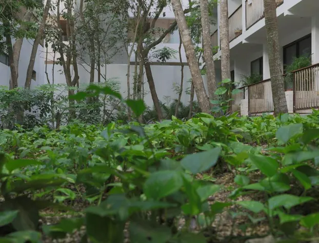 Hotel Blanco Tulum - Adults Only hotel detail image 3