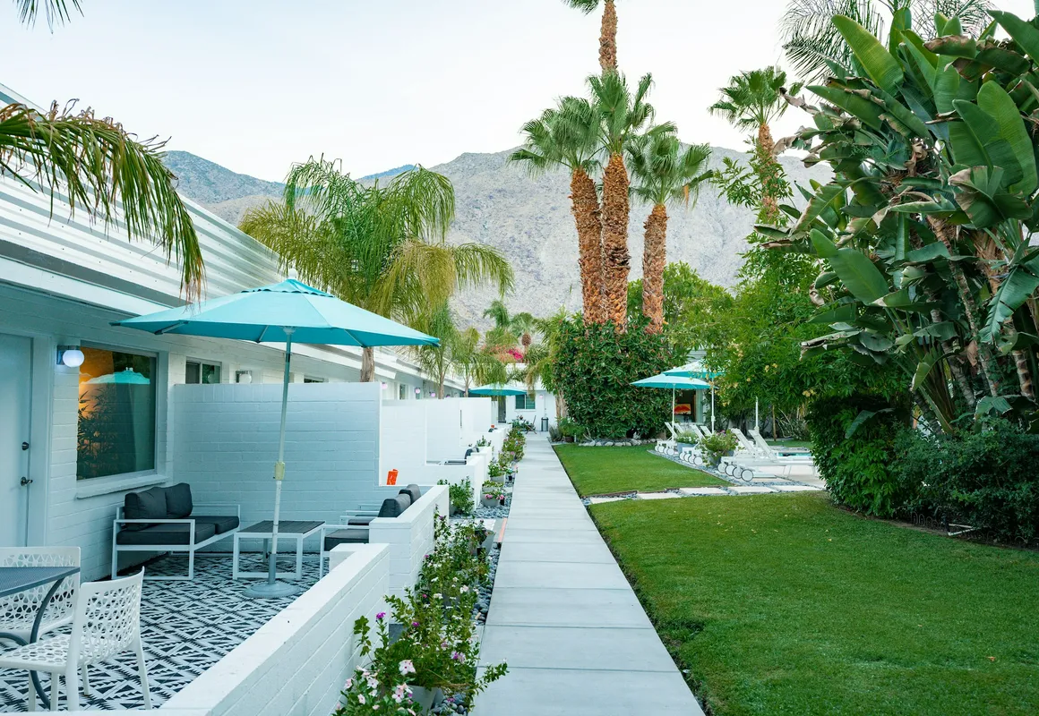 BelleVue Oasis-Palm Springs - Adults Only hotel hero