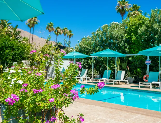 BelleVue Oasis-Palm Springs - Adults Only hotel detail image 1