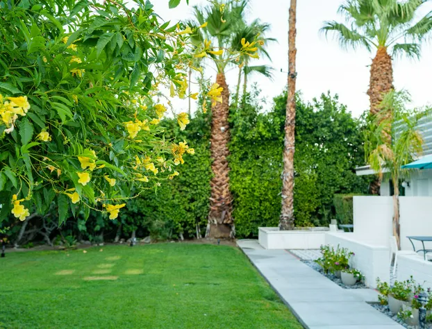 BelleVue Oasis-Palm Springs - Adults Only hotel detail image 3