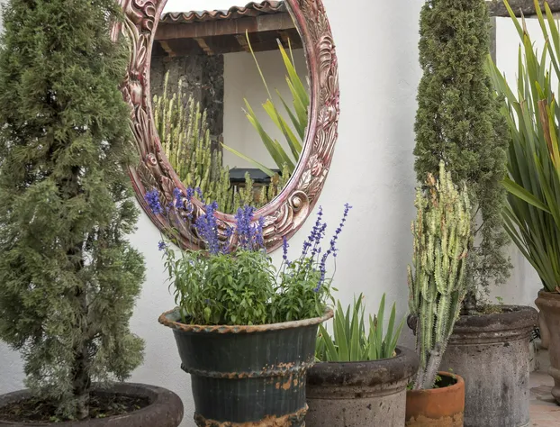 Hotel Amparo hotel detail image 1