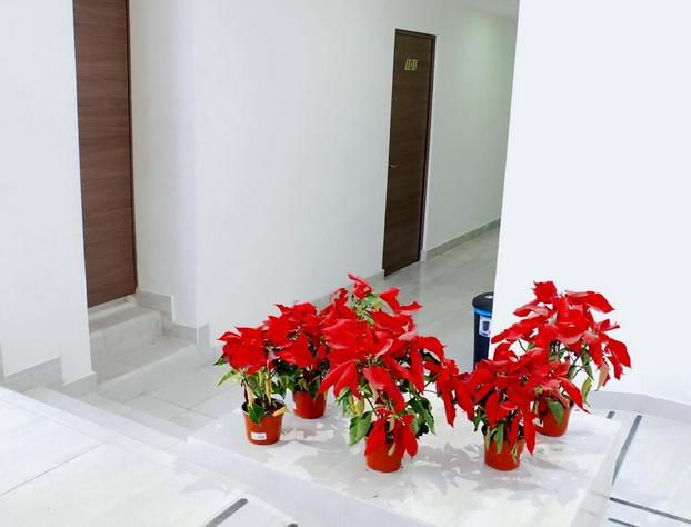 JM Express hotel detail image 4