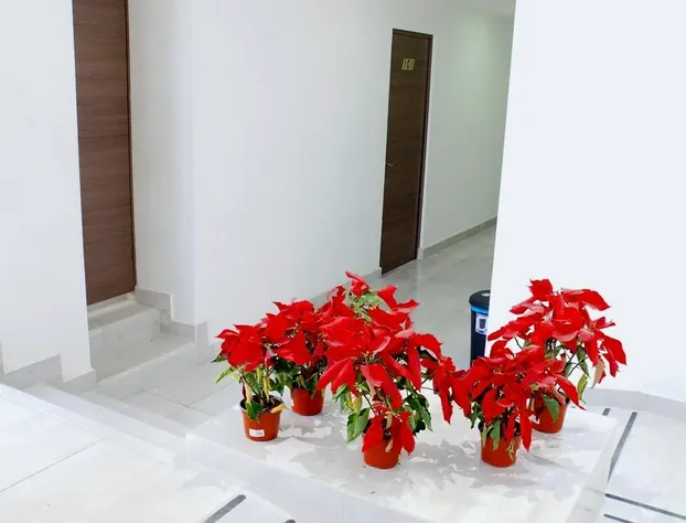 JM Express hotel detail image 3