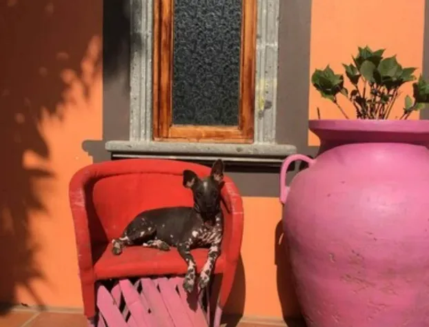 Santa Lucia Hotel Boutique hotel detail image 4