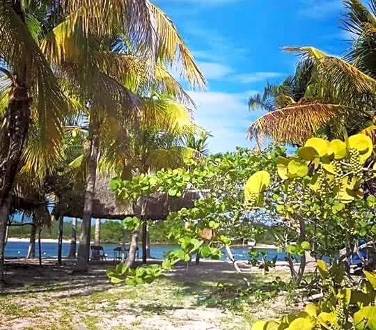 Hotel San Felipe de Jesus Yucatan hotel detail image 2