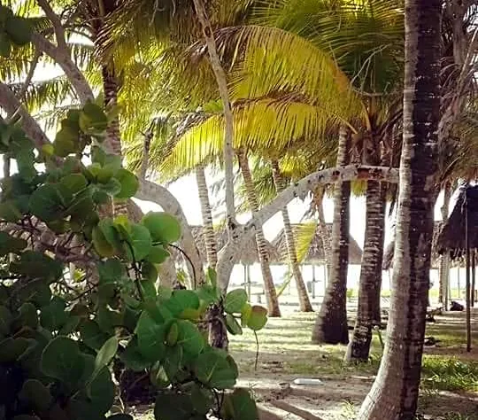 Hotel San Felipe de Jesus Yucatan hotel detail image 4