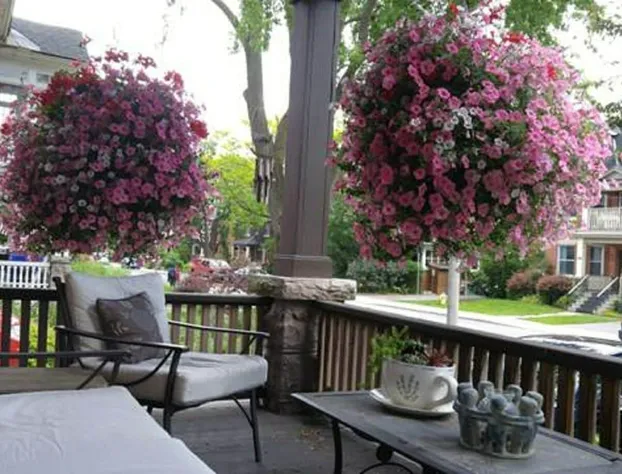 Ashbury House B&B hotel detail image 1