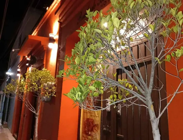 Posada Xochitl hotel detail image 1