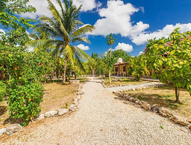 Posada Palmar hotel detail image 3