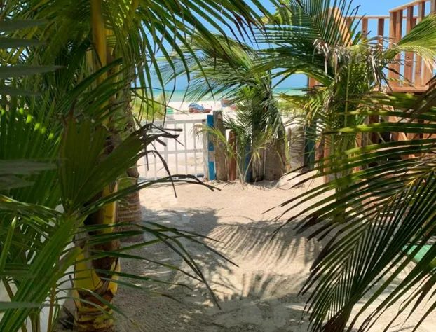 Playa Arena hotel detail image 1