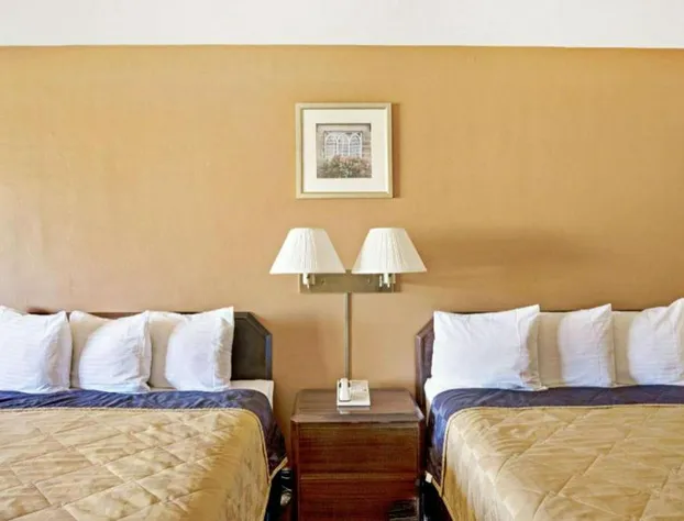 Hotel Elevation hotel detail image 4