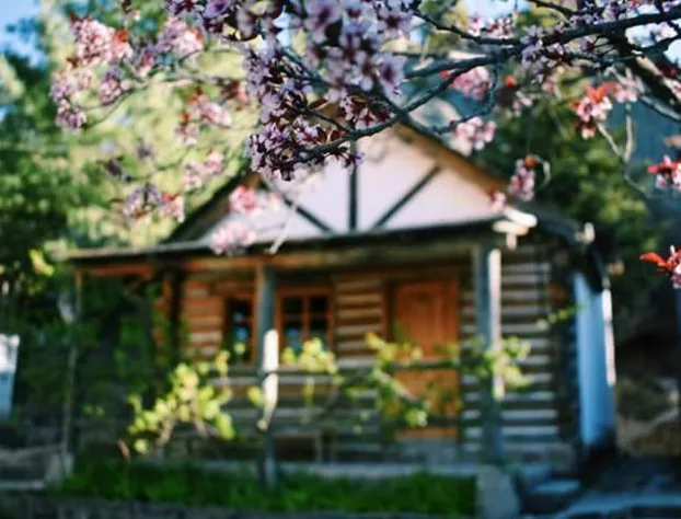 Cabañas Montebello Inn hotel detail image 3