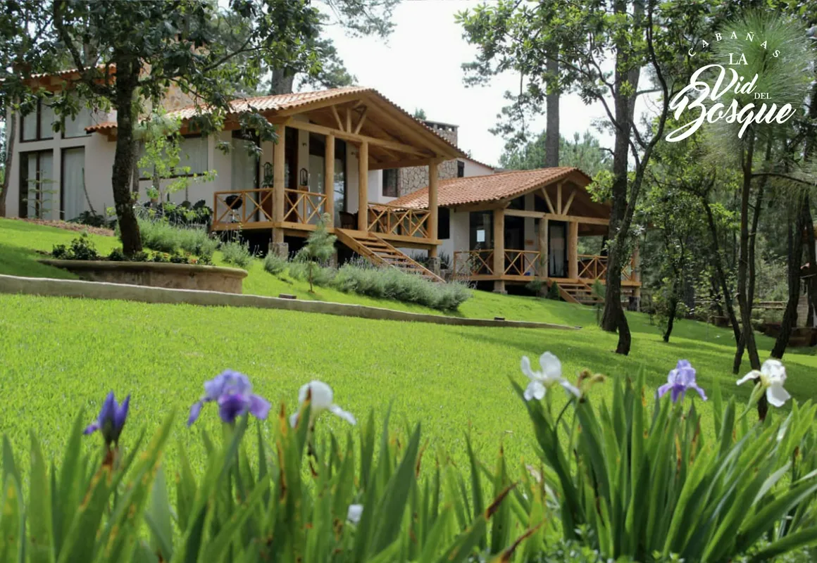 Cabañas La Vid Del Bosque hotel hero
