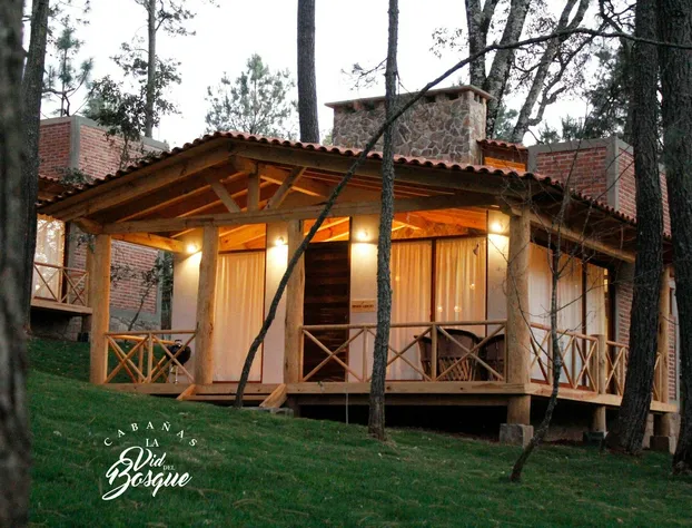 Cabañas La Vid Del Bosque hotel detail image 4