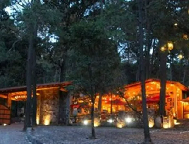 Cabañas La Vid Del Bosque hotel detail image 1