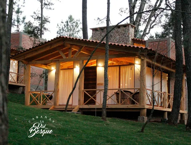 Cabañas La Vid Del Bosque hotel detail image 4