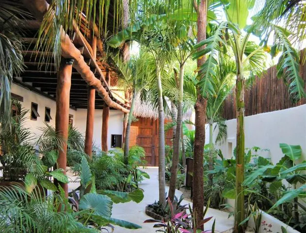 Hotel Boutique TerraNova hotel detail image 1