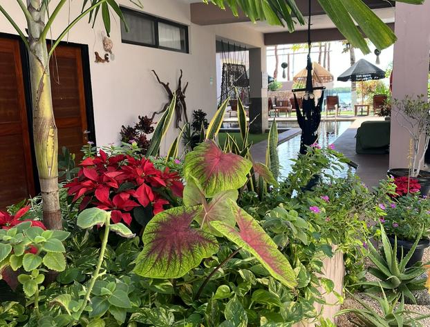 Bahía Tolok hotel detail image 2