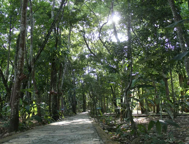 Hotel Nueva Alianza hotel detail image 2