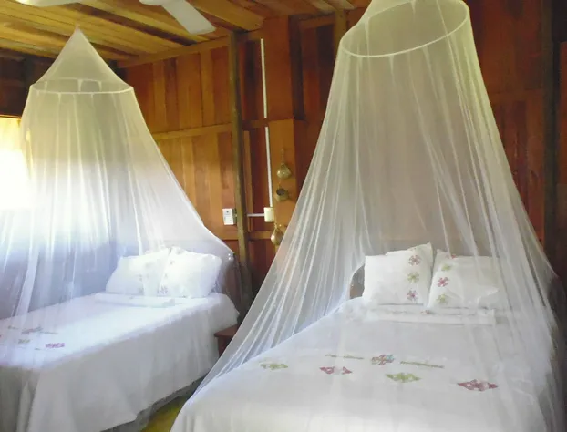 Hotel Nueva Alianza hotel detail image 4