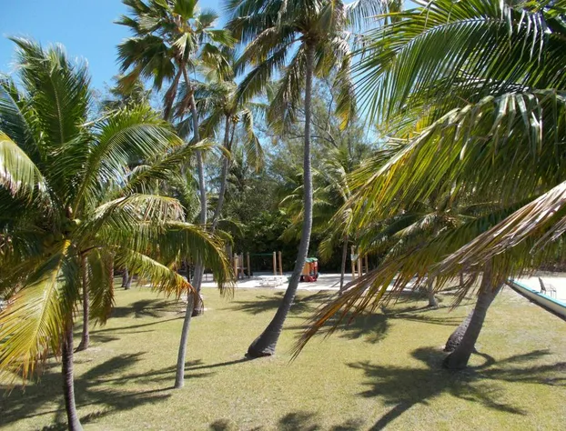 Matecumbe Resort hotel detail image 2