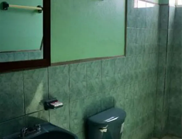 Hotel Puerto Ángel hotel detail image 4