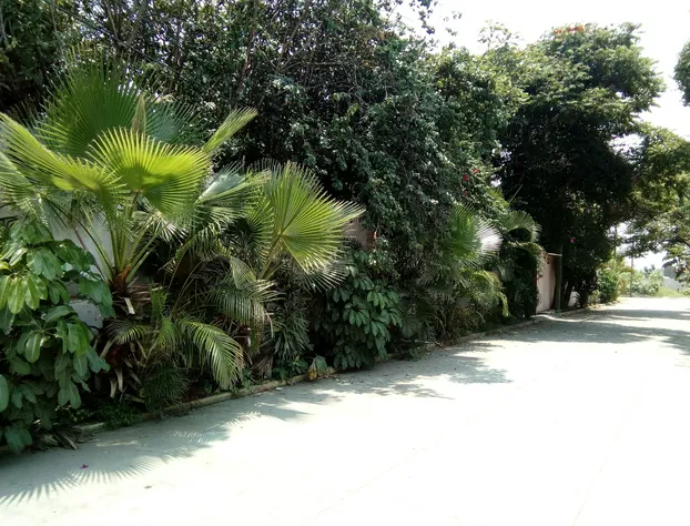 Bungalows de los Abuelos hotel detail image 1