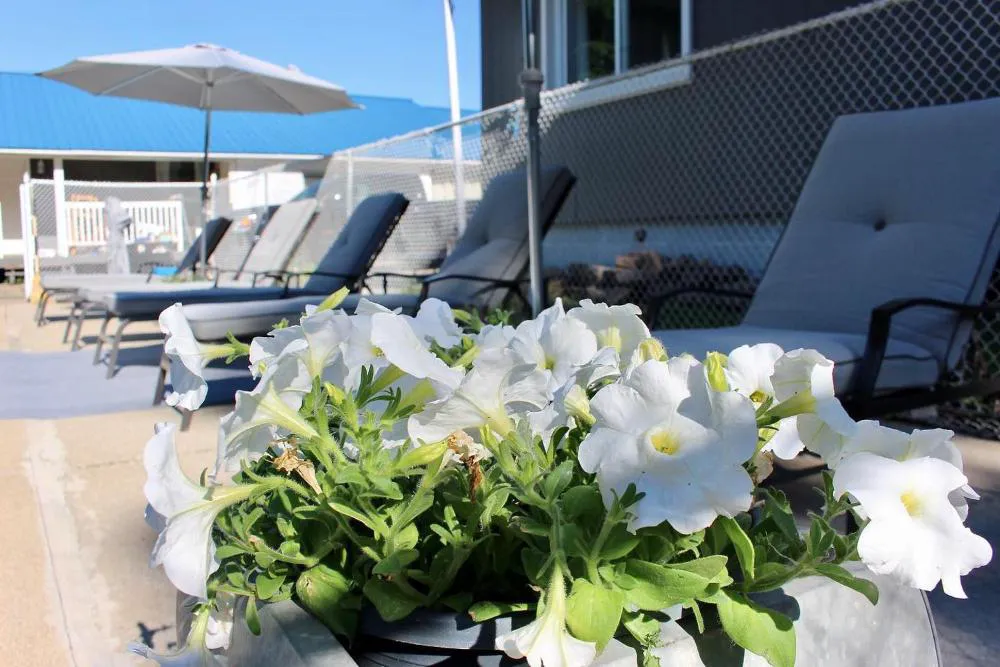 Lakeview Motel and Cottages hotel hero