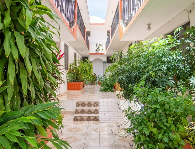 Oyo Hotel Arena Surf hotel detail image 2