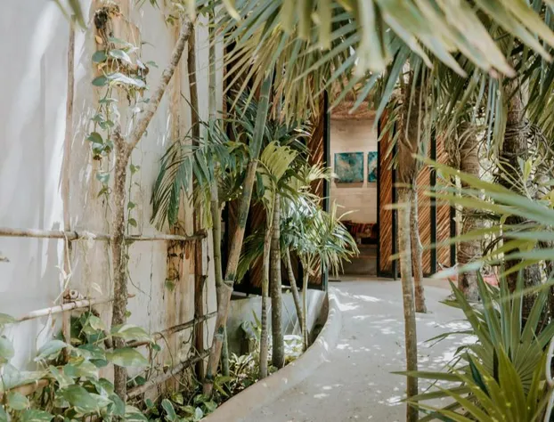 Orchid House Tulum Jungle hotel detail image 2