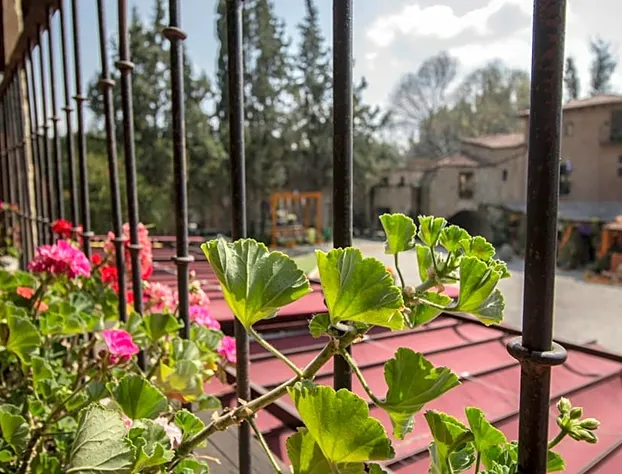 Hotel Canaria hotel detail image 1