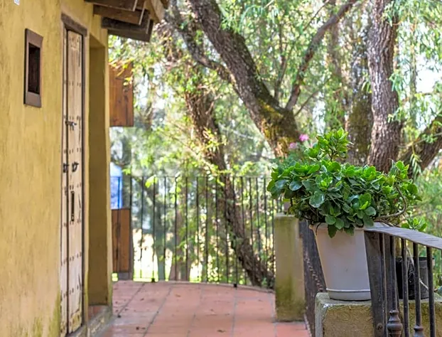 Hotel Canaria hotel detail image 2