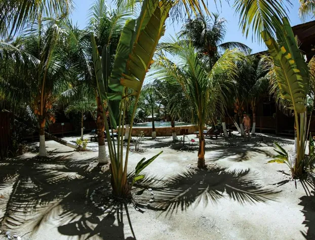 Hotel Coconut by Mij hotel detail image 2