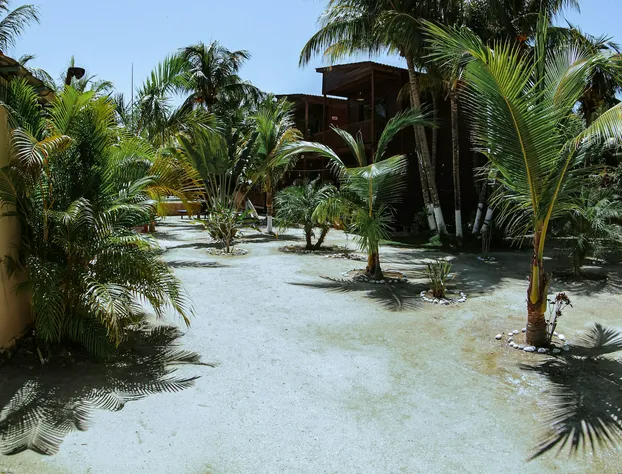 Hotel Coconut by Mij hotel detail image 4