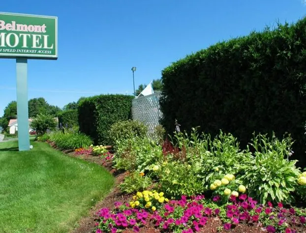 Belmont Motel hotel detail image 3