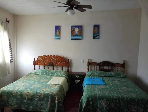 Hotel Cuaupatanini hotel detail image 1