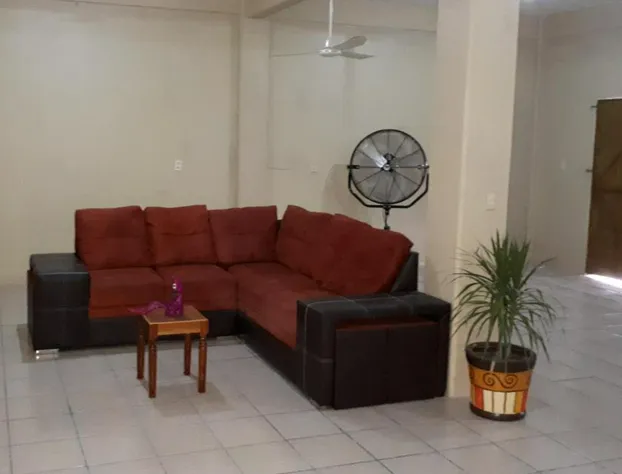 Hotel Alebrijes hotel detail image 2