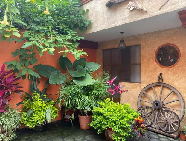 Flor De Cera hotel detail image 1